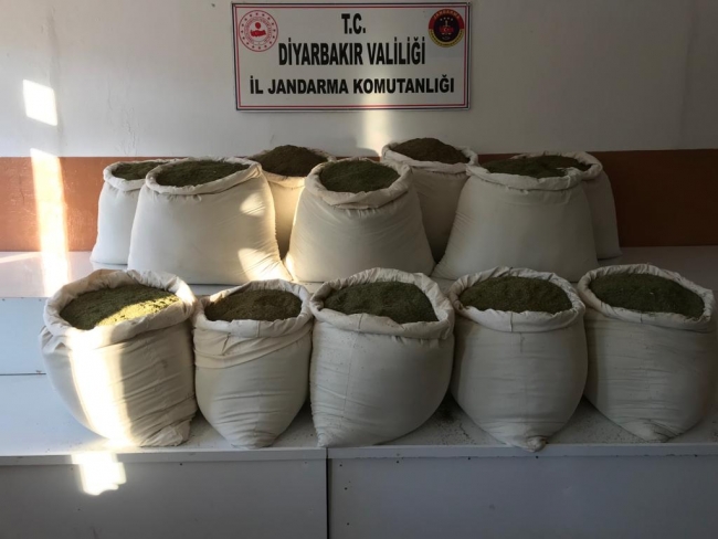 Diyarbakır'da 1 milyon kök Hint keneviri ele geçirildi